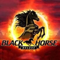 Black Horse Deluxe