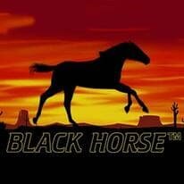 Black Horse